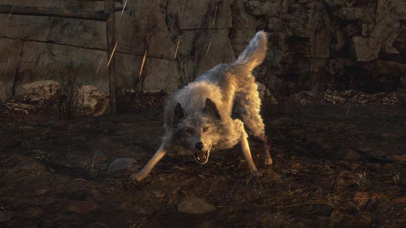 Resident Evil 4: O lobo morreu? Como encontrar o cachorro ajudante