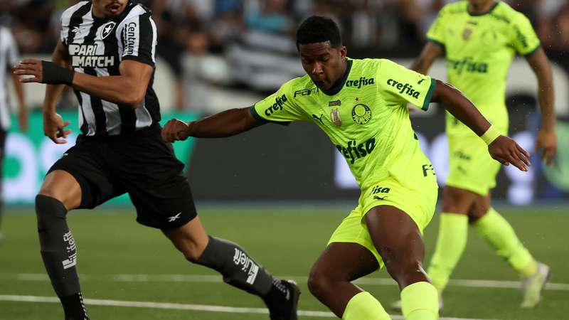 Virou final? Botafogo x Palmeiras ganha clima de decisão pelo título, brasileirão série a