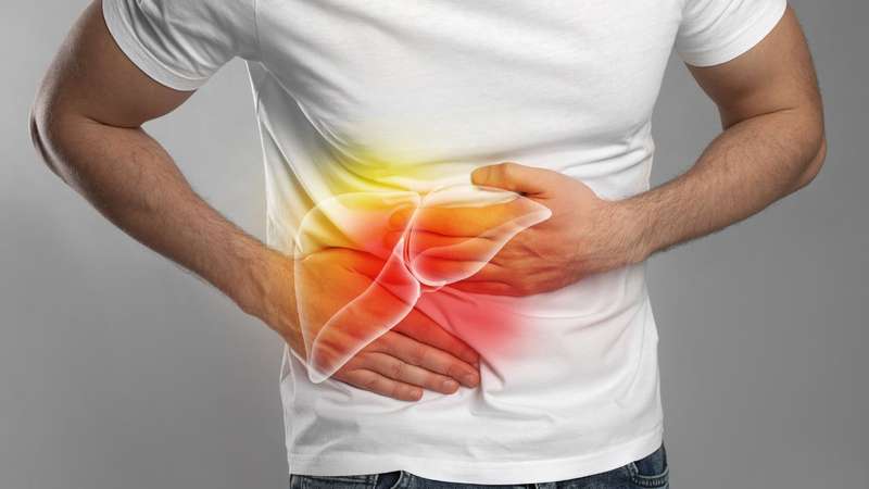 Gordura no f&iacute;gado: sintomas do grau 1, grau 2 e grau 3