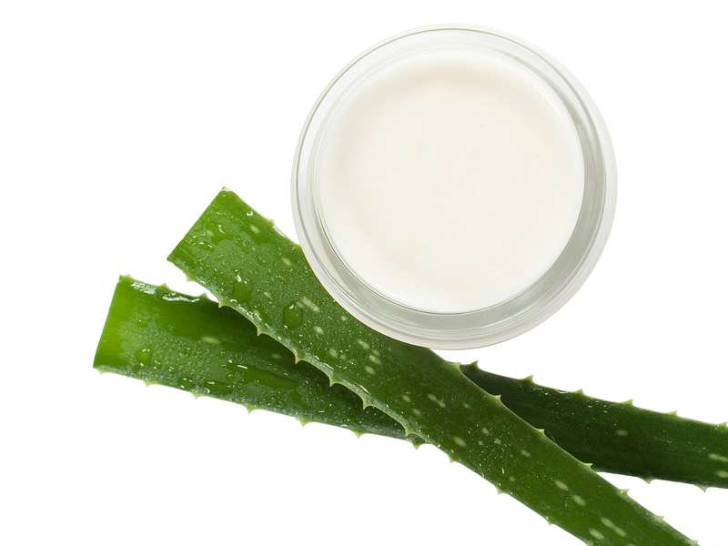 Conhea a babosa (aloe vera), suas utilidades e contraindicaes