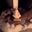 Jovem encontra imagem de Nossa Senhora 'intacta' em padaria após enchente