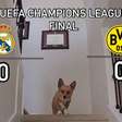Cachorro vidente revela quem será campeão da Champions League