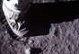 Parte da perna de Buzz Aldrin foi fotografada deixando uma pegada na superf&iacute;cie lunar durante a miss&atilde;o Apollo 11