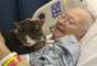 Terapia felina - O gatinho Donny é muito dócil e amoroso. Adotado pela americana Susan Smith, esse gato fofo atuou como 'terapeuta' da mãe dela, que fazia tratamento contra um câncer no pulmão. Os serviços do felino foram estendidos para pacientes com Alzheimer e demência. Confira aqui.