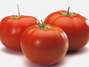 Tomates: son ricos en el antioxidante licopeno, que combate el crecimiento de las células cancerígenas en las mamas. Foto: Getty Images
