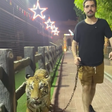 Filho de Faustão aparece passeando com tigre, e web brinca: 'Andar mais que tenso'