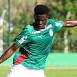 Quem é o camaronês que encanta Abel Ferreira e pode substituir Allan