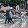 Pedestres enfrentam chuva forte na região central da cidade de São Paulo na tarde deste domingo, 21 de janeiro de 2024 Foto: BRUNO ESCOLASTICO/E.FOTOGRAFIA/ESTADÃO CONTEÚDO