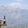 Entenda a diferença entre Reserva e Reservados, presentes em algumas garrafas de vinho Foto: iStock