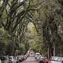 Foto: Imagem Ilustrativa / Cristine Rochol/PMPA / Porto Alegre 24 horas