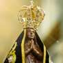 Comece hoje a Novena à Nossa Senhora Aparecida Foto: Shutterstock / João Bidu