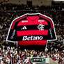 ( Foto: Gilvan de Souza/Flamengo / Esporte News Mundo