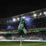 Bandeirinha do Palmeiras no Allianz Parque Foto: Allianz Parque ( César Greco/Palmeiras) / Gávea News