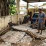 Na prática, a regra permite agir sobre aquilo que já entrou no próprio imóvel. Foto: Imagem gerada por inteligência artificial / Catraca Livre