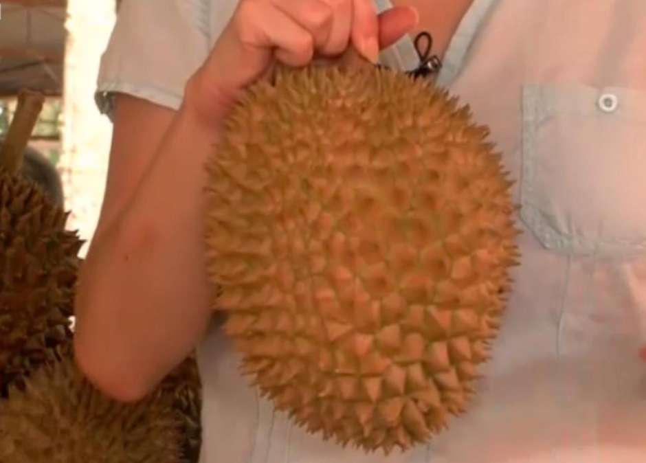 Durian E Papple Conheca As Frutas Mas Exoticas Do Mundo