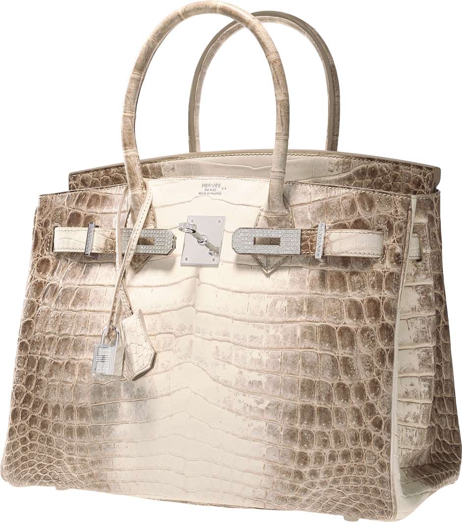 birkin crocodilo