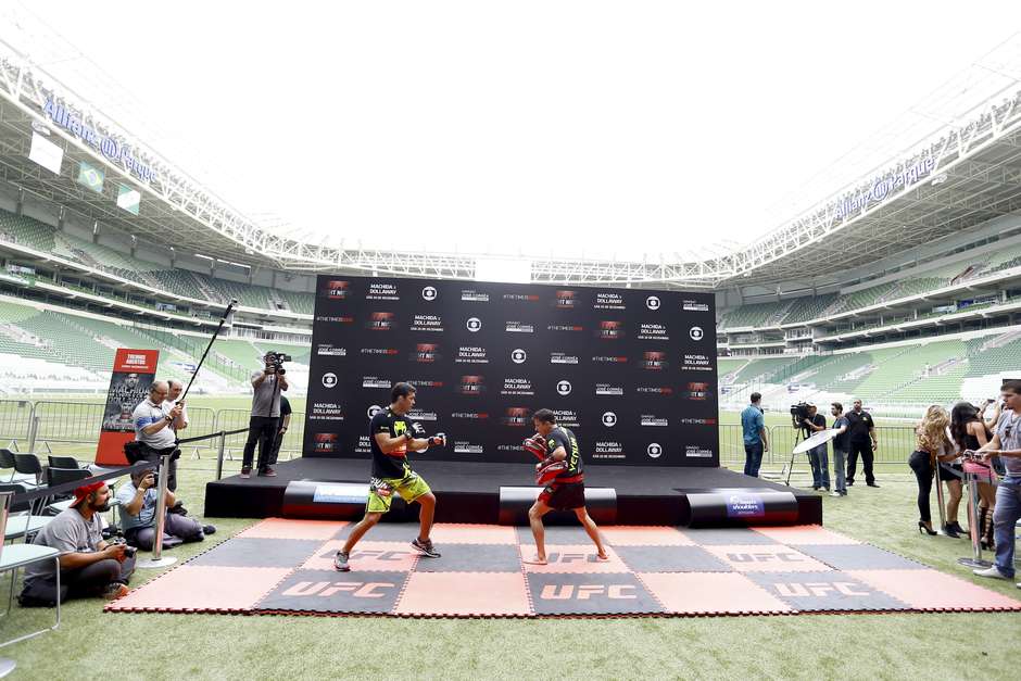 UFC admite superluta na arena do Palmeiras; Copa e eleição devem 'melar' 13  eventos no Brasil - ESPN