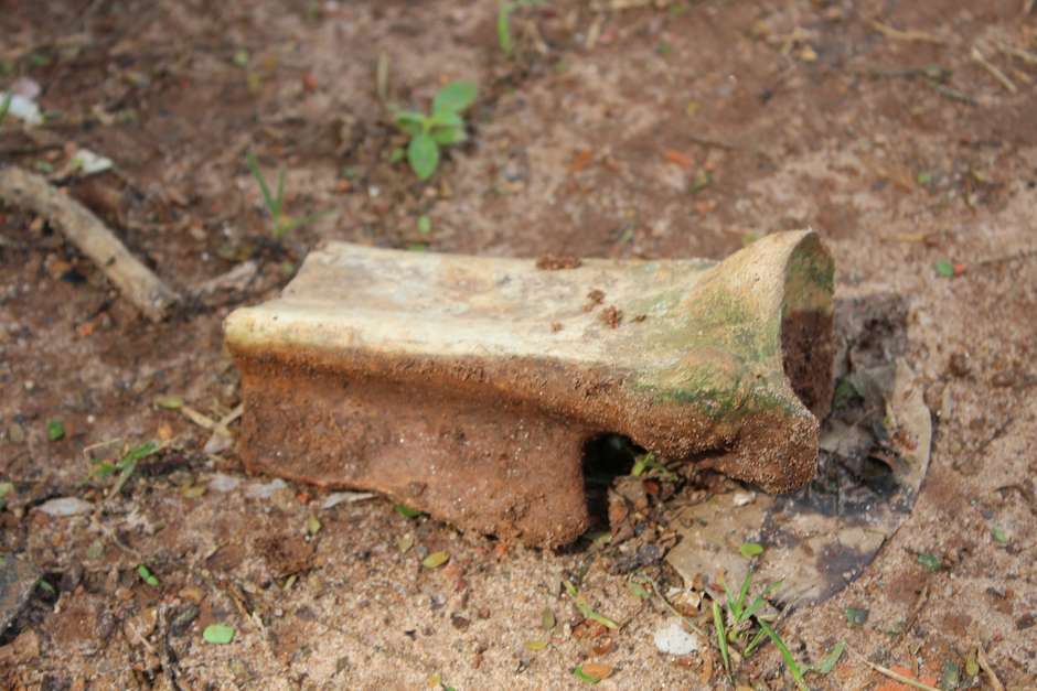 sacode os ossos, que a carne não tem mais, vai la no cemitério vê oq o