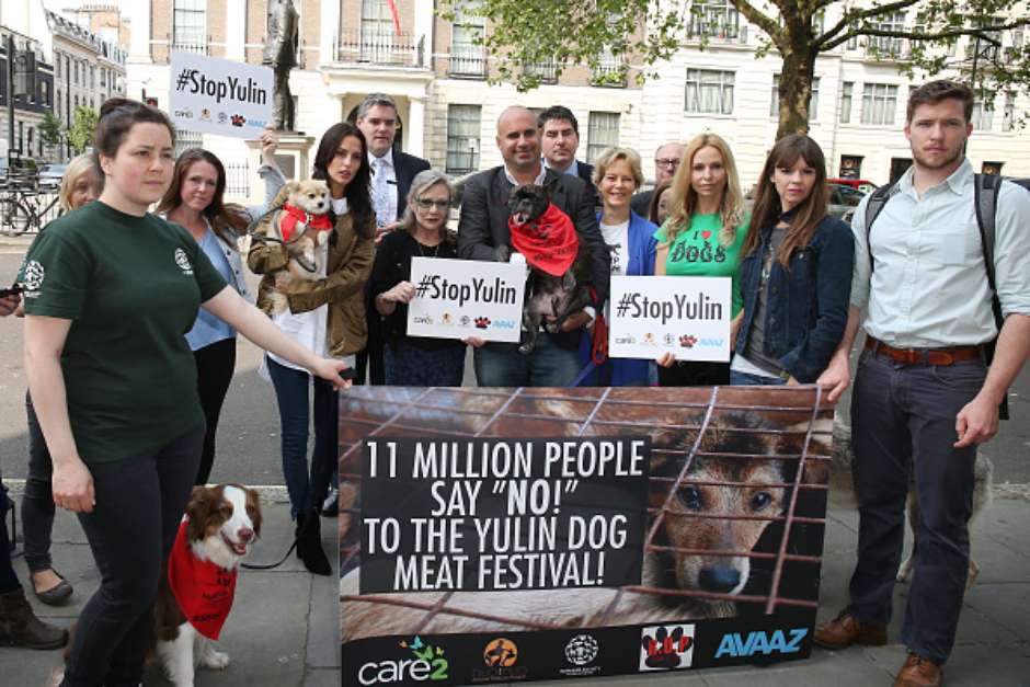 Yulin. O festival de carne de cão que indigna a maioria dos chineses