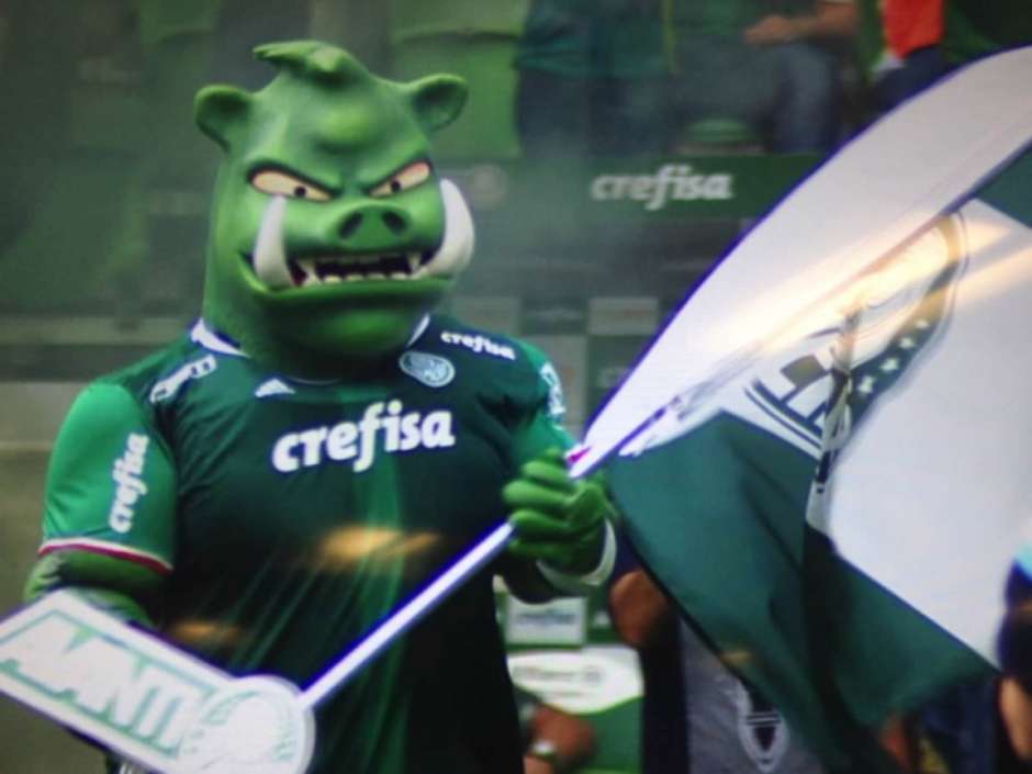 Resultado de imagem para porco palmeiras