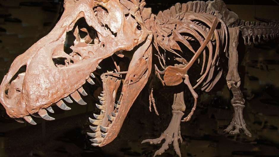 Espaço para os dinossauros e experiência do vulcão – Escola Magnante