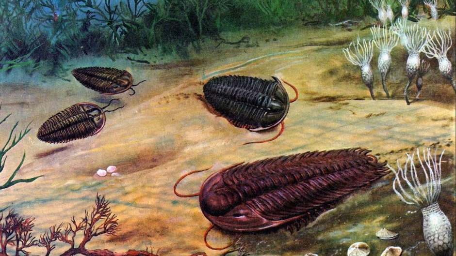 a-vida-na-terra-pode-ter-surgido-milhoes-de-anos-antes-do-que-imaginamos Em Busca de Vida no Cosmos: A Busca por Vida Extraterrestre