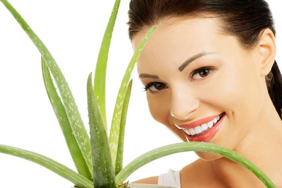 Estes Sao Os Beneficios Da Aloe Vera Para Seu Sorriso