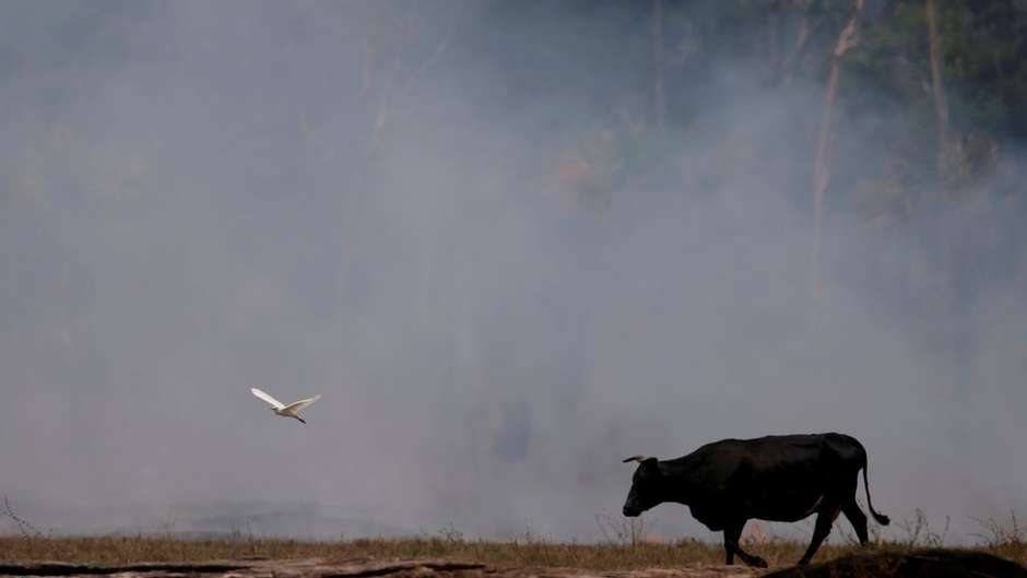 Já atingimos ponto de não retorno em algumas regiões da Amazônia