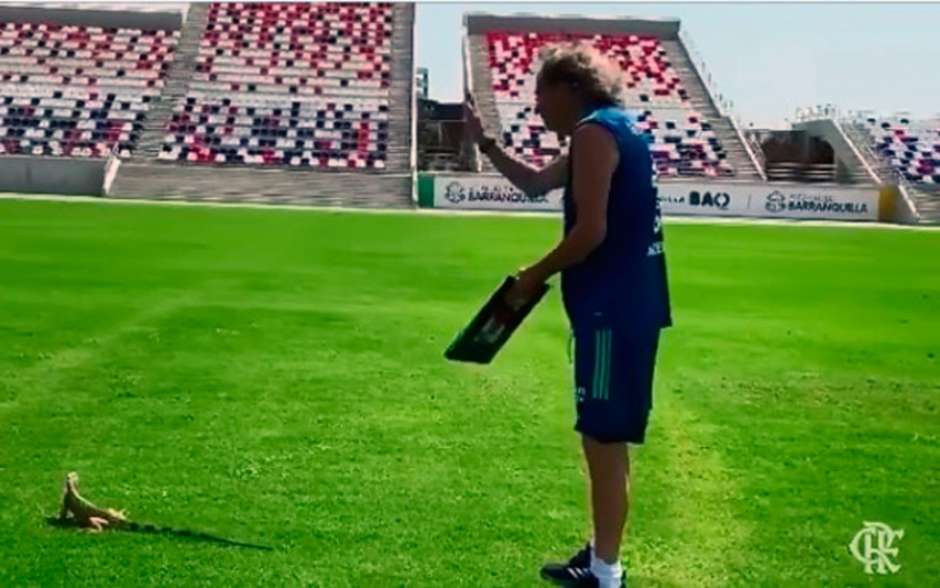 Espião e novo reforço! Torcedores brincam com Jorge Jesus afastando lagarto em treino na Colômbia