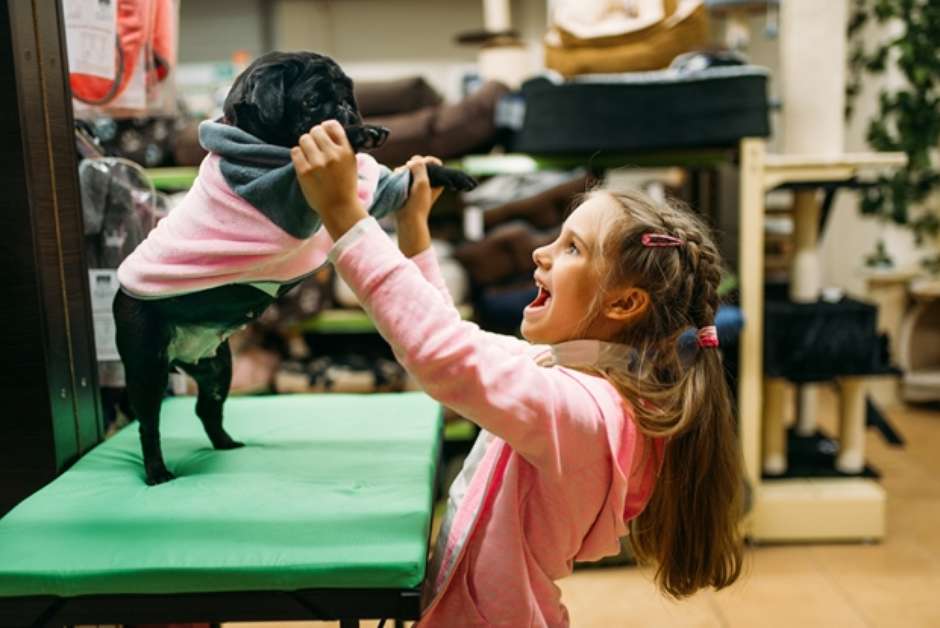 Banho em pet shops é cômodo, mas também envolve riscos - Uai Saúde