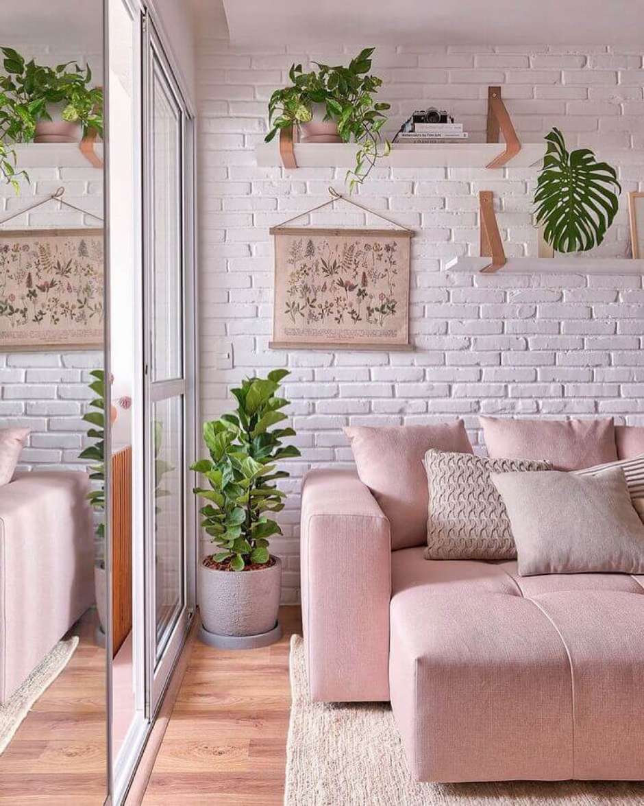 Sala com plantas: conheça 7 espécies e saiba como decorar