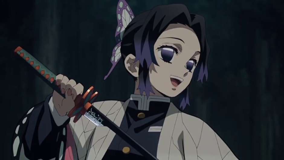 Tudo sobre os Hashiras de Demon Slayer: Kimetsu no Yaiba - PS Verso