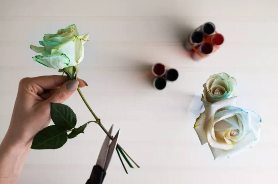 Faça uma rosa arco-íris para alegrar a casa!