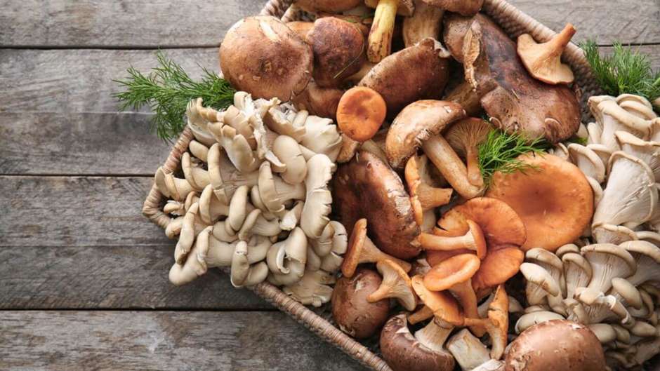 Como preparar os cogumelos Paris, shiitake e shimeji