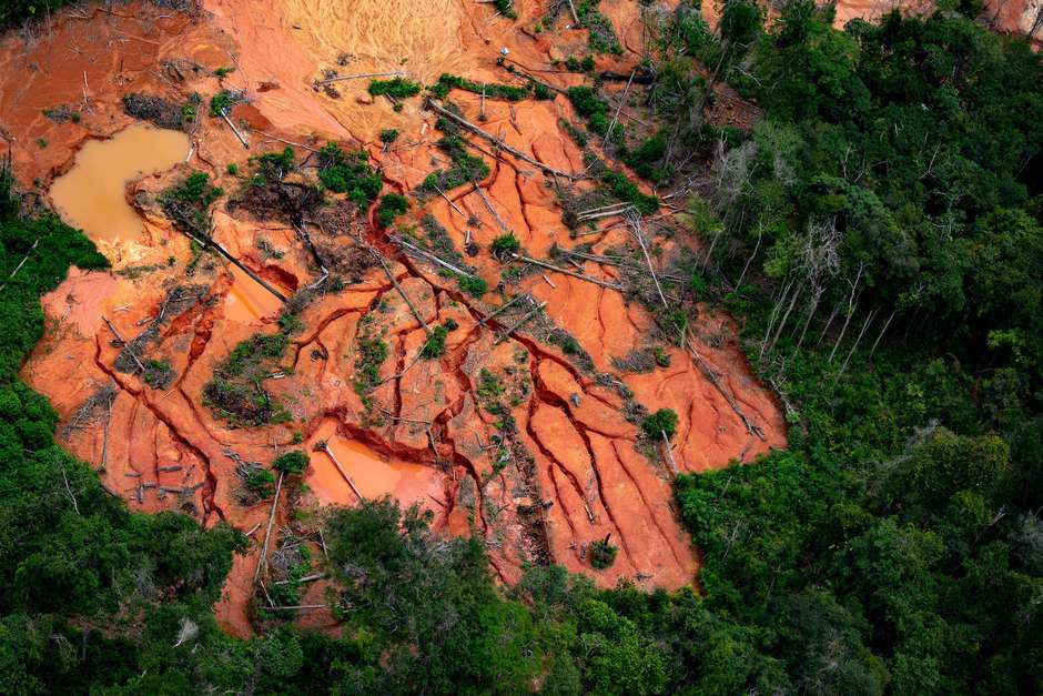 A morte dos rios - Greenpeace Brasil