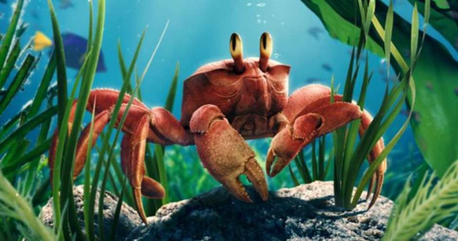 Do Pior ao MELHOR  Ranqueamos os 20 Remakes em Live-Action da Disney –  incluindo 'A Pequena Sereia' - CinePOP