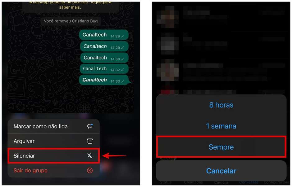 15 dicas e truques do WhatsApp para dominar o app