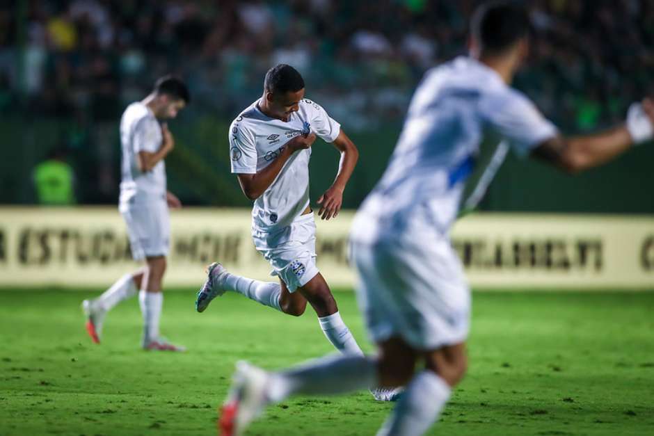 Santos x Grêmio: onde assistir, escalações e como chegam os times