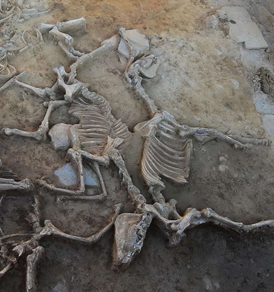 Cavalo de Troia: Arqueólogos dizem ter achado restos de estrutura