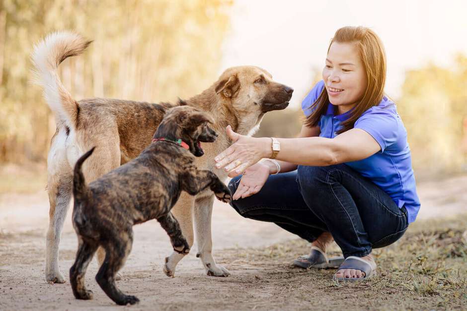 13 nomes de cachorro populares entre os brasileiros