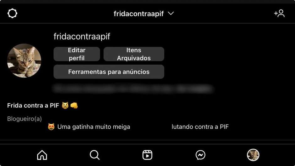 Como e por que usam caracteres invis veis no Instagram