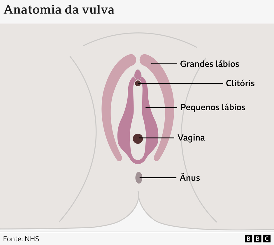 Por que Brasil é líder em plásticas na vulva
