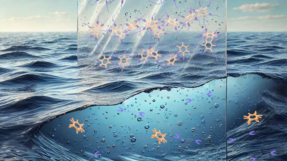 Cientistas japoneses criam plástico biodegradável que se desfaz na água do  mar