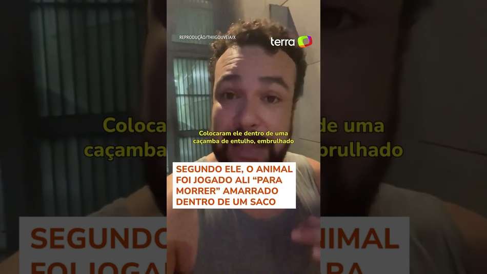 Câmera Flagra Cachorro Sendo Abandonado Em Caçamba De Lixo Por Homem No