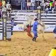 Peão morre após ser pisoteado por touro durante rodeio em MT