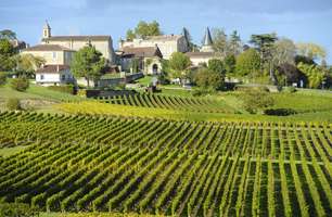 Do Chile a França: saiba onde provar os melhores vinhos