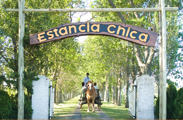 Estancia Chica: Emprendimiento familiar rodeado de una frondosa arboleda que promete un encuentro con la naturaleza y con la vida de campo. Se puede pasear por la huerta orgánica, caminar por los diferentes senderos descubriendo especies de árboles, plantas y flores, recorrer los corrales de animales de granja, cabalgar, disfrutar de paseos en carro o sulki, de la piscina con solarium y de las reposeras para el descanso... Cuenta con juegos infantiles para los más chicos, ping pong, metegol, sapo y tejo. En San Andrés de Giles.Día de campo: $200 los adultos. Menores entre 4 y 10 años abonan el 50% de la tarifa. Menores de 4 años sin cargo. Incluye recepción, almuerzo con bebidas sin alcohol y actividades.