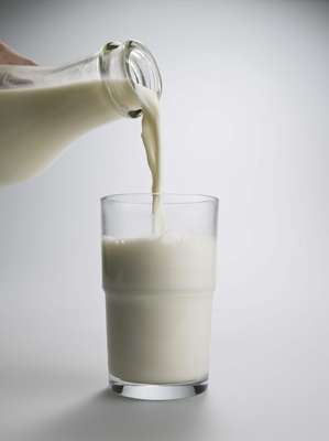 Leite - Ao contrário da intolerância à lactose, distúrbio que envolve apenas a deficiência de uma enzima, a alergia às proteínas do leite envolve uma resposta maior do sistema imunológico. Tal resposta pode ser imediata (com sintomas poucas horas após o consumo) ou, como costuma ser mais comum, tardia (com sinais de três horas a três dias depois), tornando o diagnóstico mais difícil sendo esta a mais comum