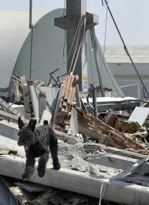 Al menos quince personas han muerto y algunas continúan desaparecidas tras los tres terremotos de magnitud 5,8, 5,3 y 5,1 grados en la escala Richter que sacudieron este martes la región de Emilia Romagna (norte de Italia) y que causaron el derrumbe de varios edificios y naves industriales.