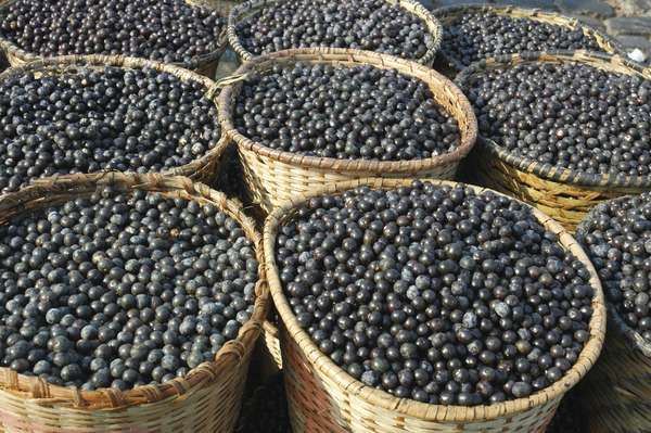 1. Açaí: essa fruta possui níveis de antioxidantes superiores até a de outras superfrutas como amora, morango e mirtilo. No entanto, mesmo no Brasil, não é tão fácil encontrar o açaí fresco. "Nesse caso, recomendo o açaí em pó, que pode ser adicionado a um smoothie", diz Glassman